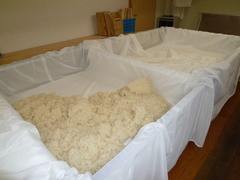 20101026 021.jpg